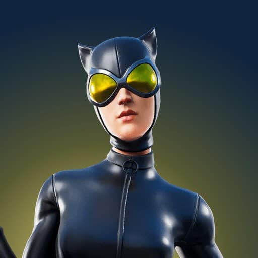 Catwoman Comic Book Outfit